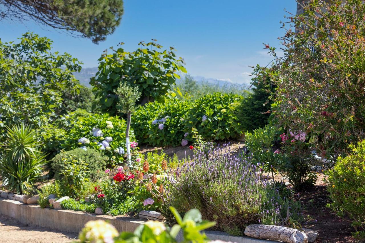 Hotel Arcu Di Sole 2*
